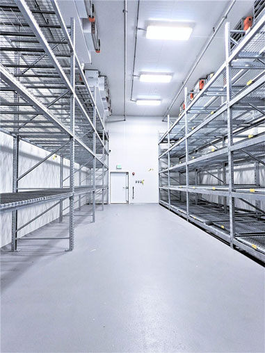Interior view of a Labworks -30°C freezer, showcasing industrial-grade shelving and ceiling-mounted refrigeration units designed for precise cold storage in pharmaceutical and research applications.